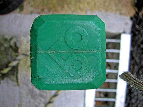 platform series