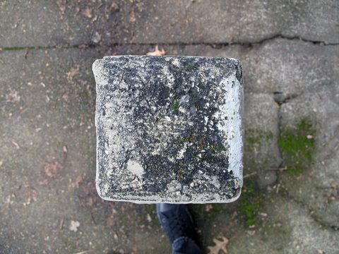 platform series