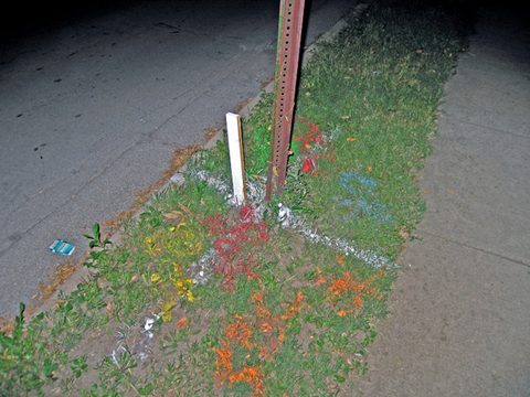 sign(ifiers)(becoming signs), 2006-07