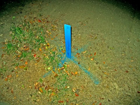 sign(ifiers)(becoming signs), 2006-07