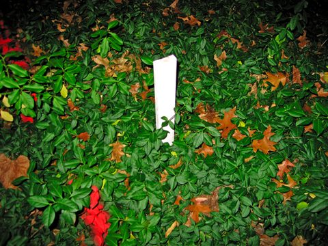 sign(ifiers)(becoming signs), 2006-07