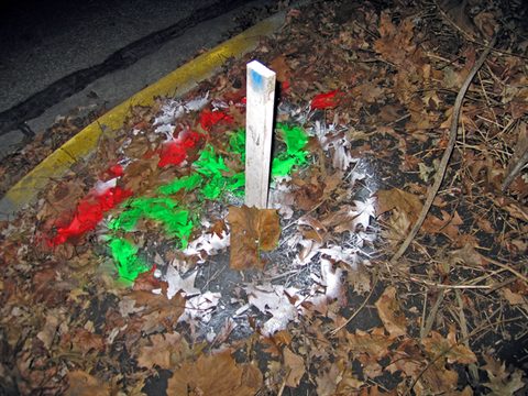 sign(ifiers)(becoming signs), 2006-07