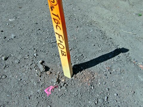sign(ifiers)(becoming signs), 2006-07