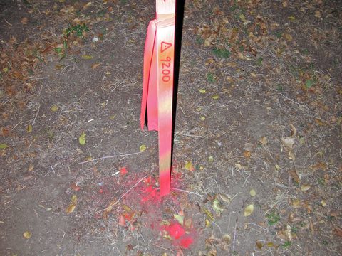 sign(ifiers)(becoming signs), 2006-07